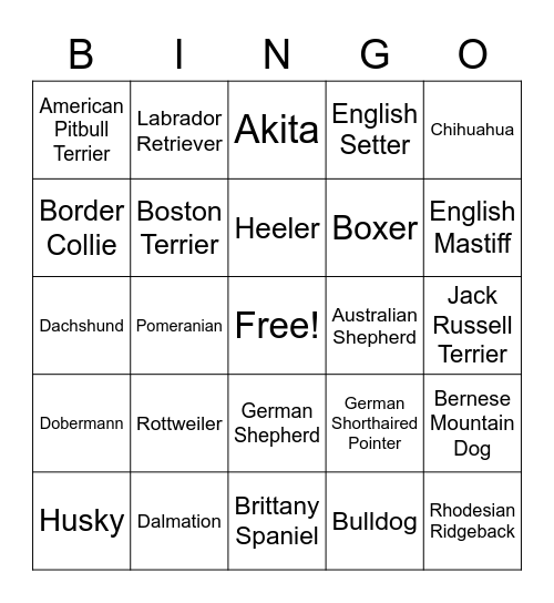 GUESS WHAT HARRY IS Bingo Card
