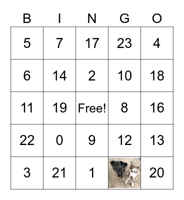 Sight Words Bingo Card