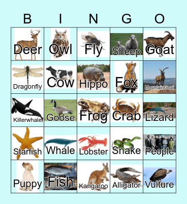 Animals Bingo Card