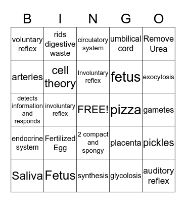 Chapter 12 Bingo Card