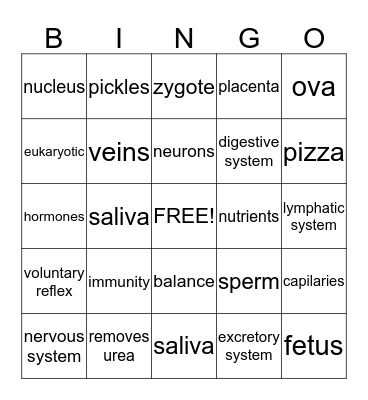 12 Bingo Card