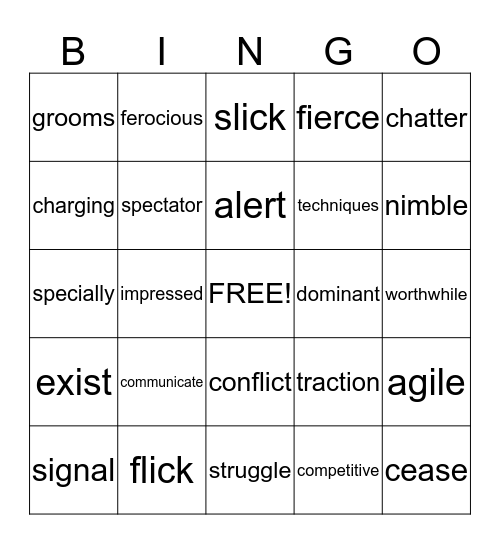 Vocabulary Bingo Card