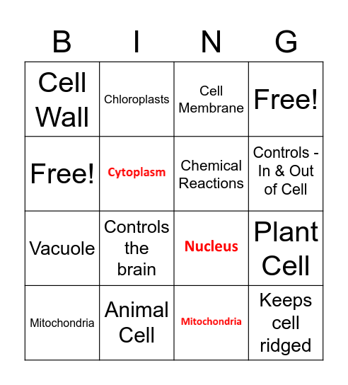 Plant Cells Bingo Card