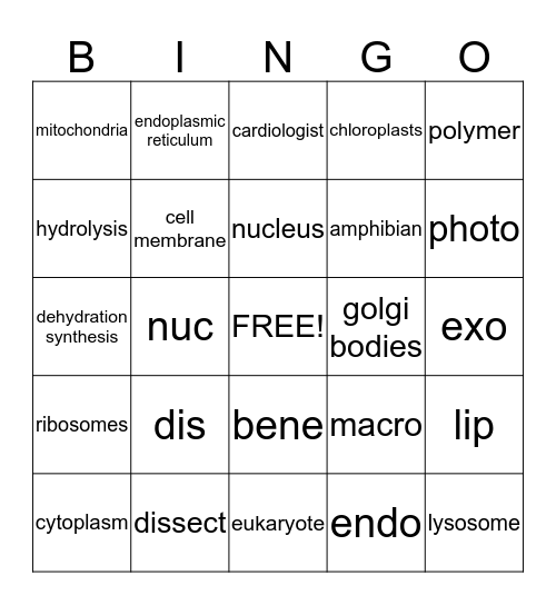 Biology Review Bingo Card