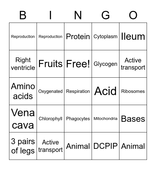 IGCSE Biology Review 2 Bingo Card