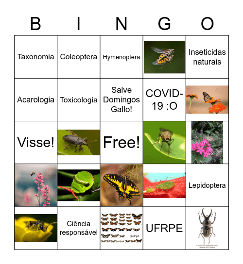 ENTOMOBINGO Card
