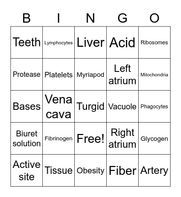 IGCSE Biology Review 2 Bingo Card