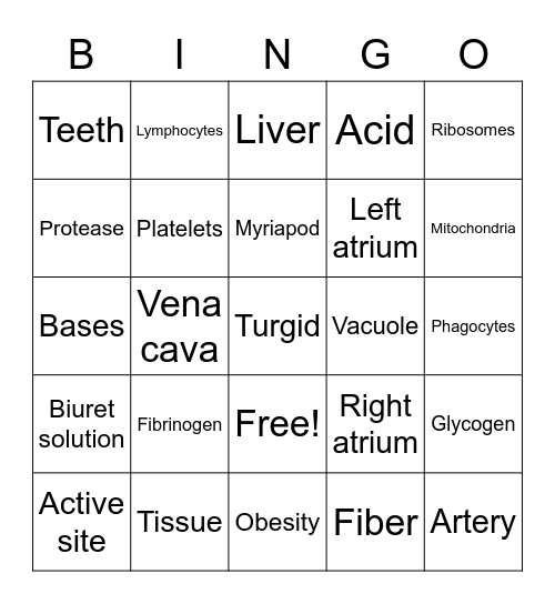 IGCSE Biology Review 2 Bingo Card