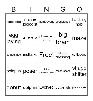 Cuttlefish Bingo Card