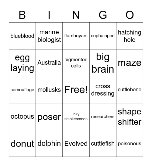 Cuttlefish Bingo Card