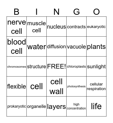 Cell Test Review  Bingo Card