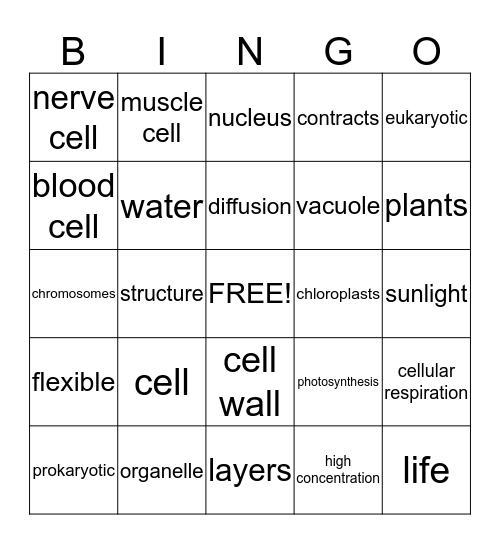 Cell Test Review  Bingo Card