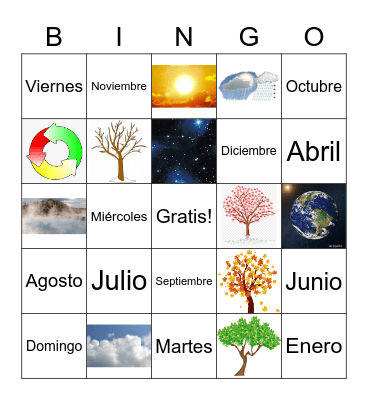Ciclos- 3.2 Bingo Card