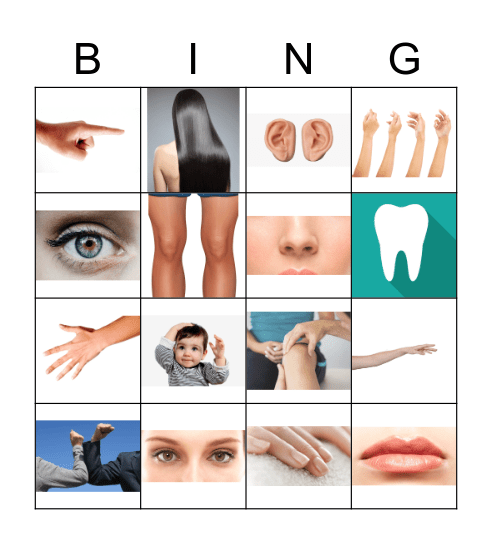 Body Parts Bingo Card