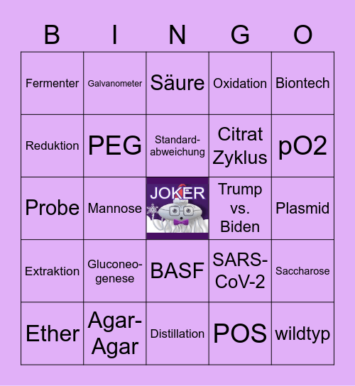 FSV - B-ingo Bingo Card