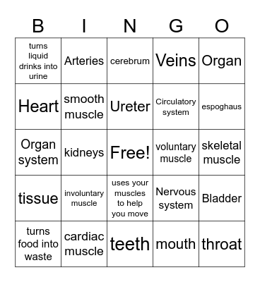 Body System Bingo Card