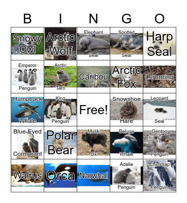 Arctic Animals Bingo Card