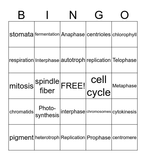 Cell Photosynthesis, Respiration, Cell Division Bingo Card