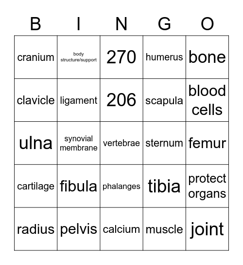 Skeletal System BINGO Card