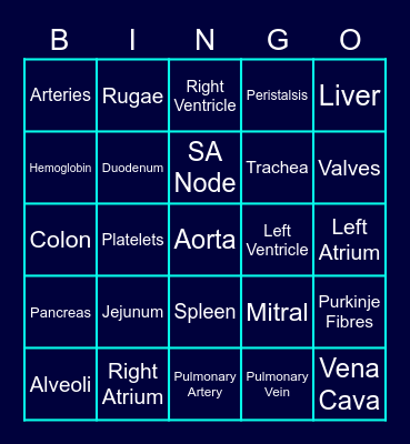 Animal Systems Review Bingo Card