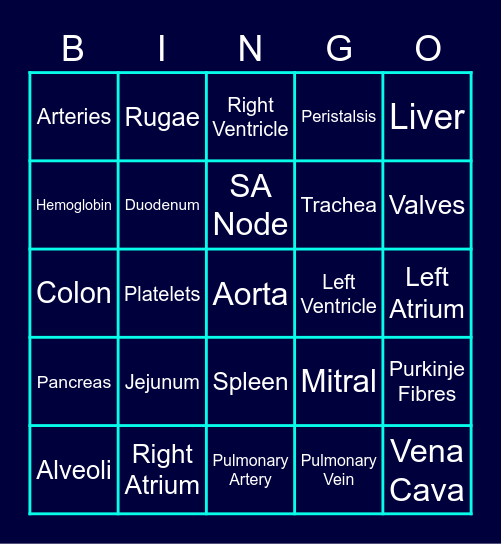 Animal Systems Review Bingo Card