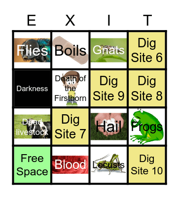 10 Plagues Bingo Card