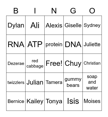 2nd period Bingo Card