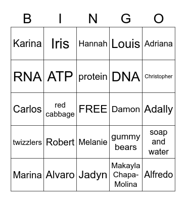 4th period Bingo Card