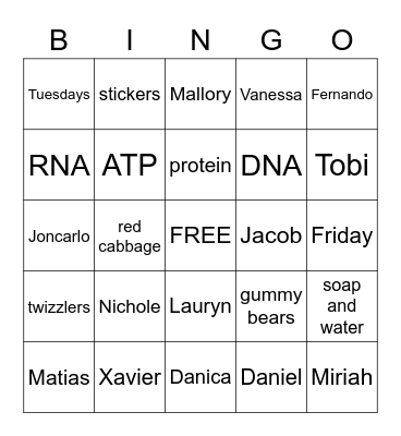 5th period Bingo Card