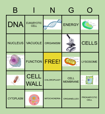 CMS Organelle Bingo Card