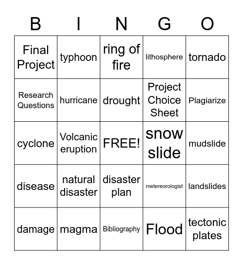 Natural Disaster bingo Card