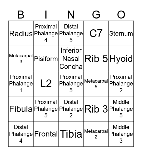 Anatomy Bingo Card