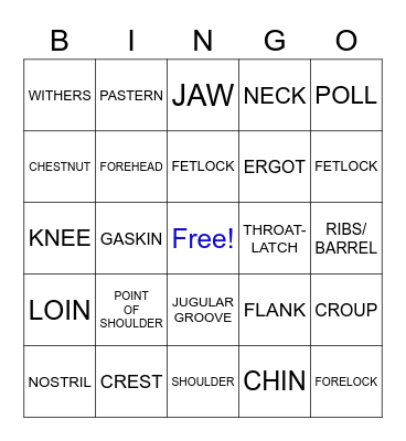 PARTS OF THE HORSE Bingo Card