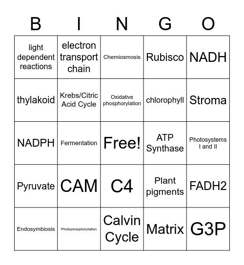 Cellular Energetics BINCO Bingo Card