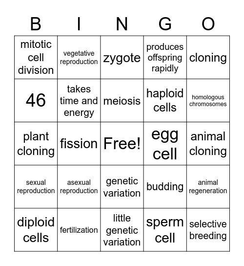 Chapter 4 Review Bingo Card