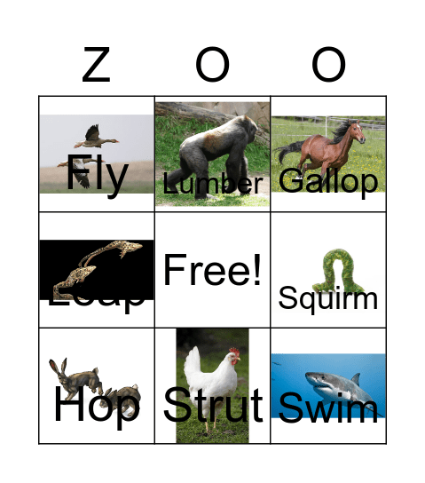 Animal Movement Bingo Card