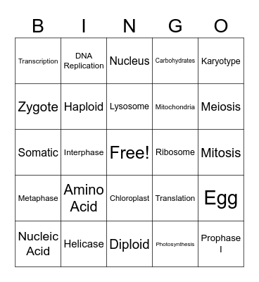 1st Semester Biology Terms Bingo Card