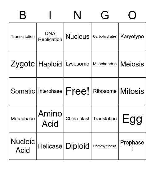 1st Semester Biology Terms Bingo Card