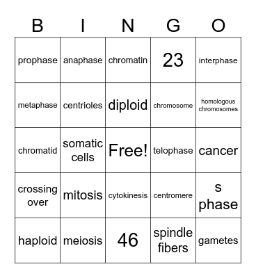Cell Division Review Bingo Card