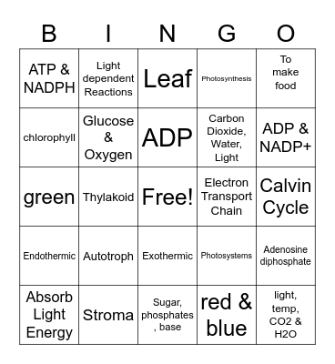ATP & Photosynthesis Bingo Card