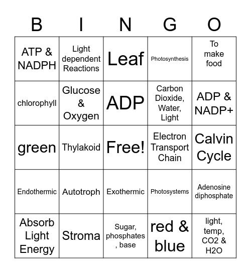 ATP & Photosynthesis Bingo Card