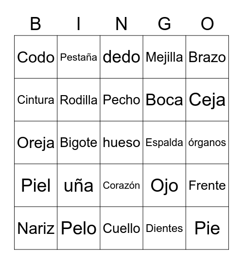 Partes del cuerpo Bingo Card