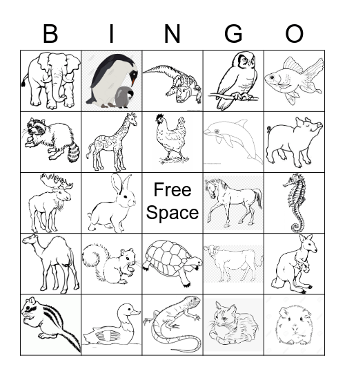 Animals Bingo Card