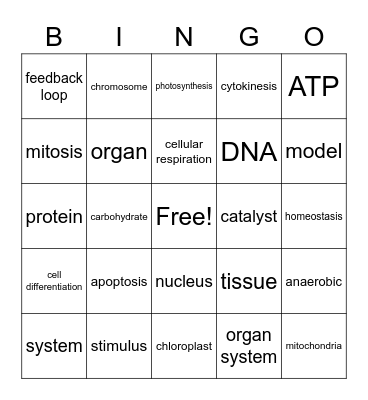 Biology Bingo Card