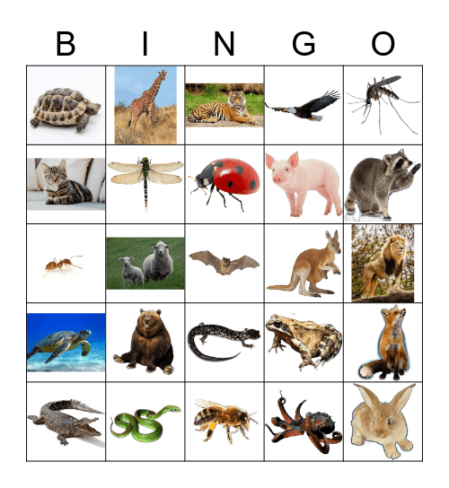 Animals Bingo Card