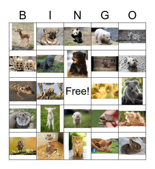 Baby Animals Bingo Card