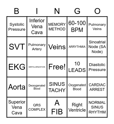 Heart and Circulatory System Bingo Card