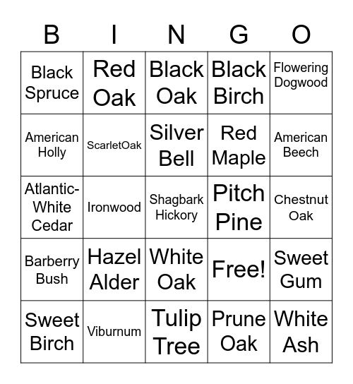 New Jersey Tree Identification Bingo Card