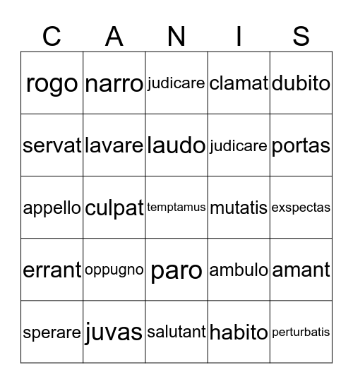 Latin VERBS Bingo Card