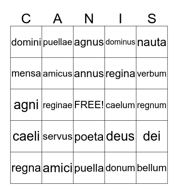 Latin NOUNS Bingo Card